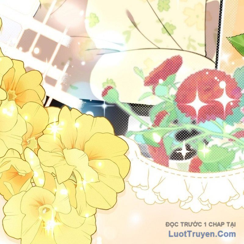 0 Tuổi Đã Là Ngôi Sao Hạng A Chapter 11 - Trang 22