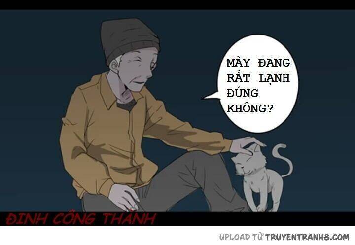 0.999305555555556 Chapter 23 - Trang 15