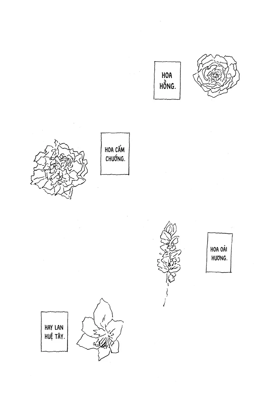 .A: Dot Alice Chapter 15 - Trang 13