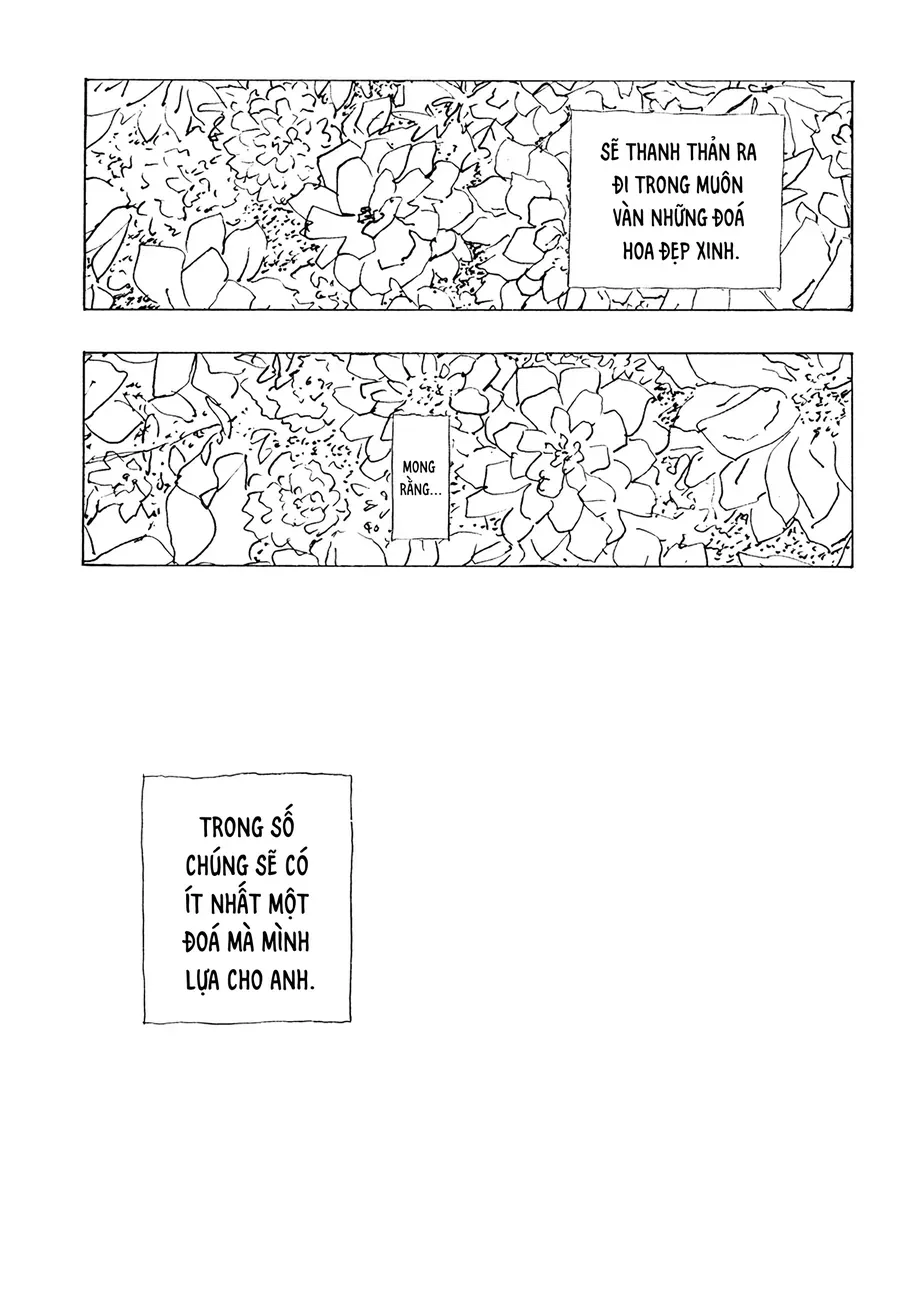 .A: Dot Alice Chapter 15 - Trang 23