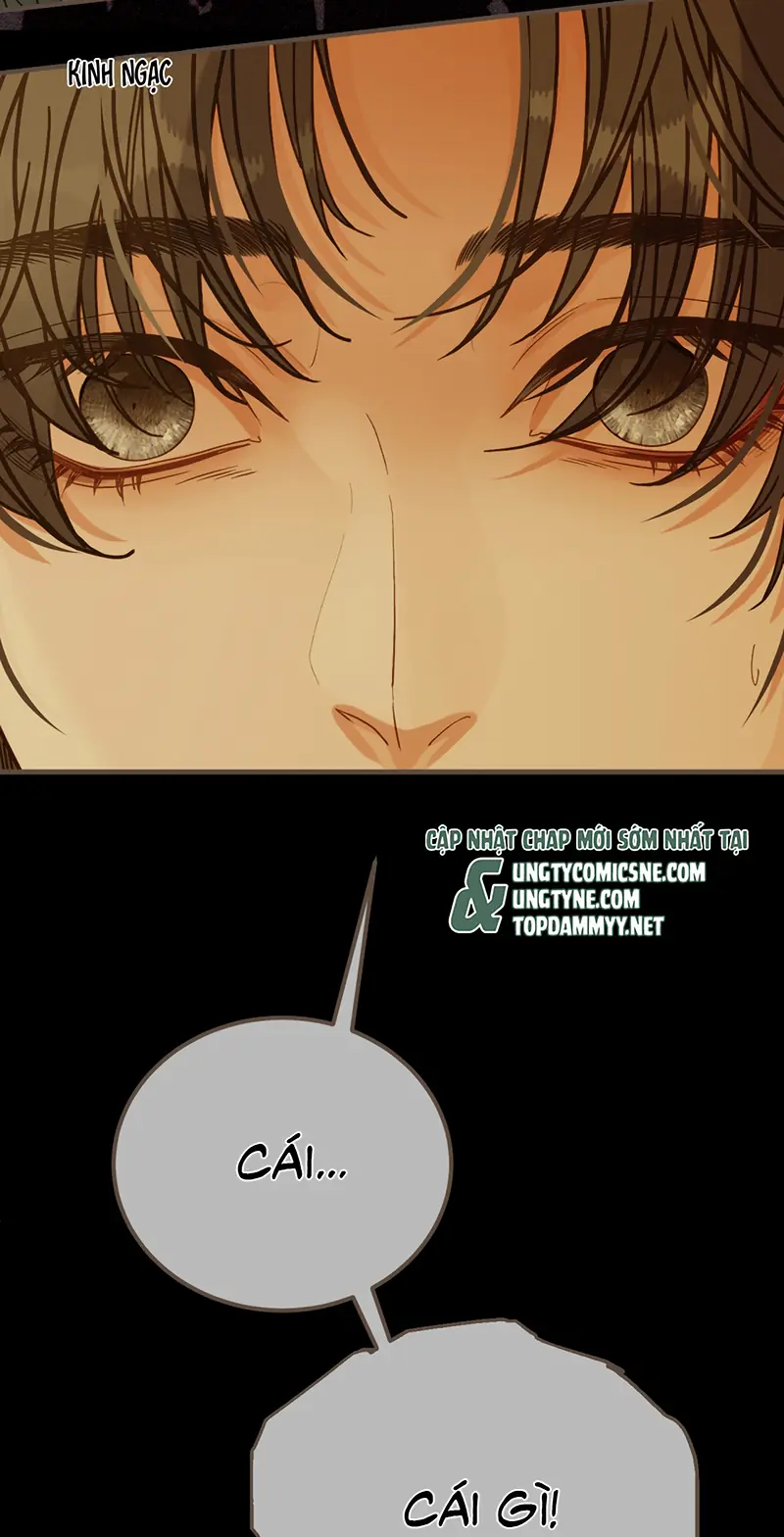 Á Nô 2: Thám Hoa Chapter 101 - Trang 19