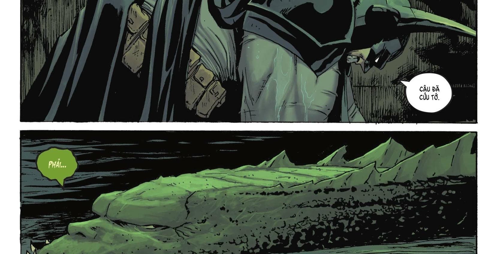Absolute Batman Chapter 12 - Trang 5