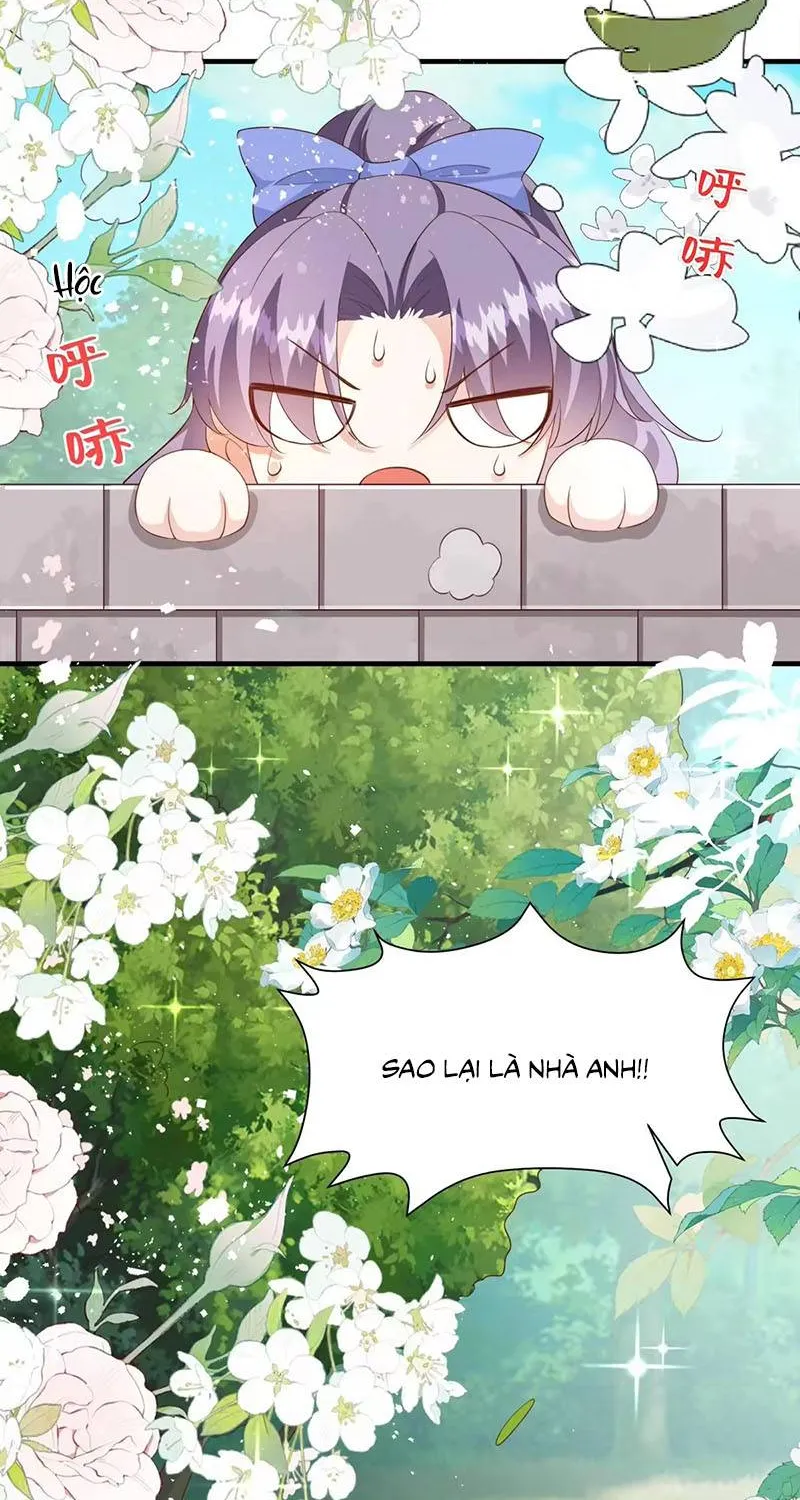 Ác Nữ Ai Cũng Mê Chapter 16 - Trang 9