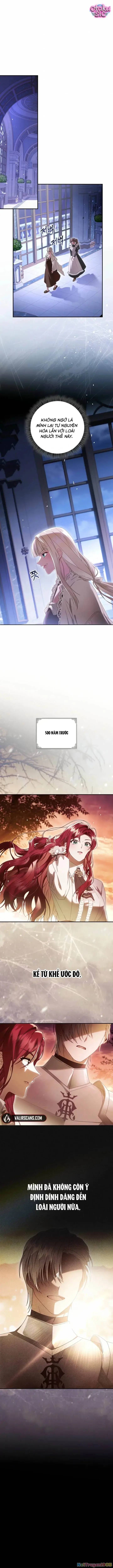 Ác Nữ Đoạt Hồn Gây Náo Loạn Chapter 3 - Trang 2