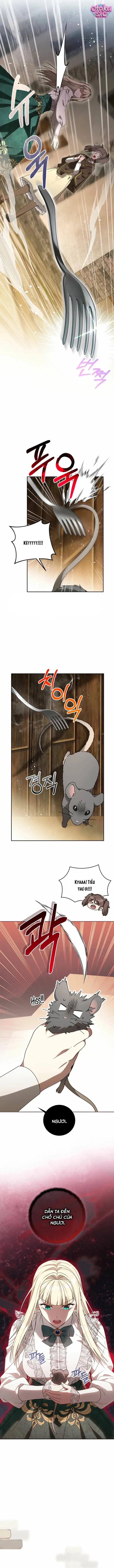 Ác Nữ Đoạt Hồn Gây Náo Loạn Chapter 6 - Trang 8