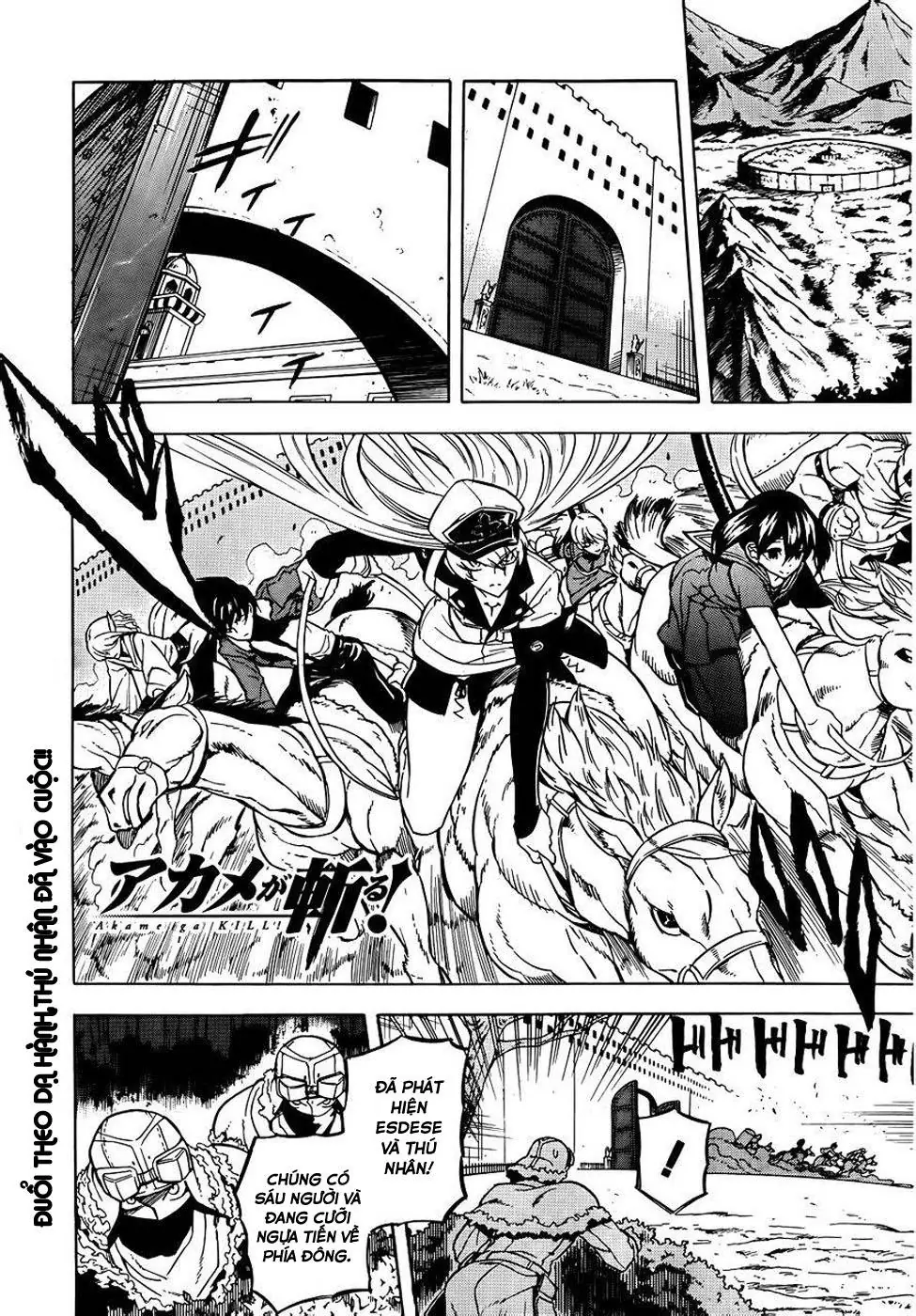 Akame Ga Kiru Chapter 29 - Trang 3