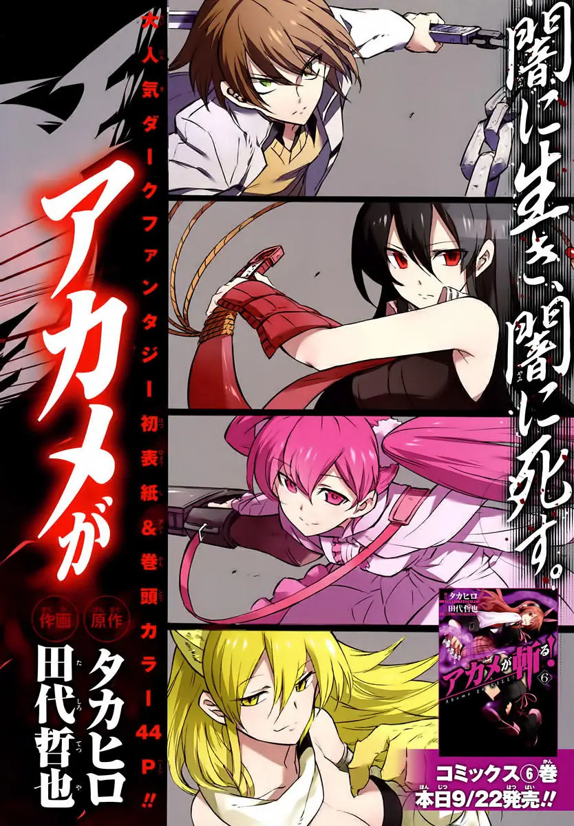 Akame Ga Kiru Chapter 30 - Trang 4