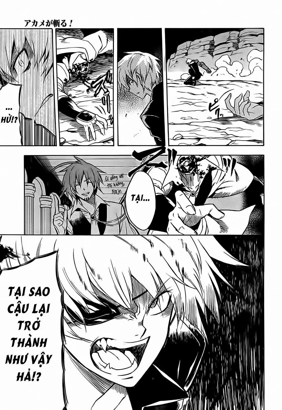 Akame Ga Kiru Chapter 31 - Trang 19