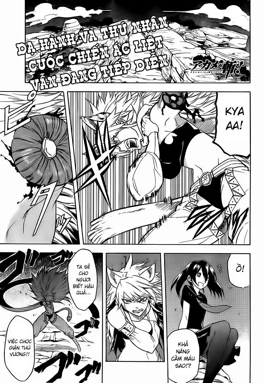Akame Ga Kiru Chapter 31 - Trang 3