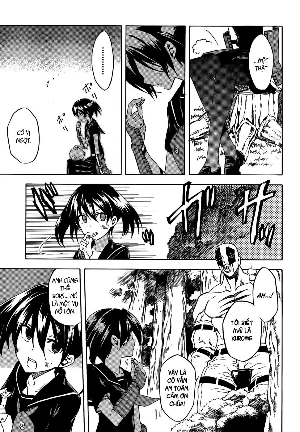 Akame Ga Kiru Chapter 33 - Trang 14
