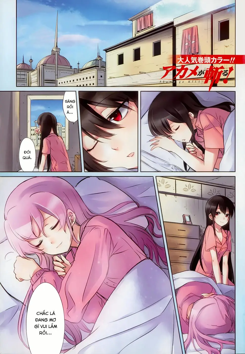 Akame Ga Kiru Chapter 39 - Trang 4