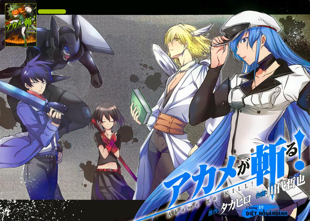 Akame Ga Kiru Chapter 39 - Trang 5