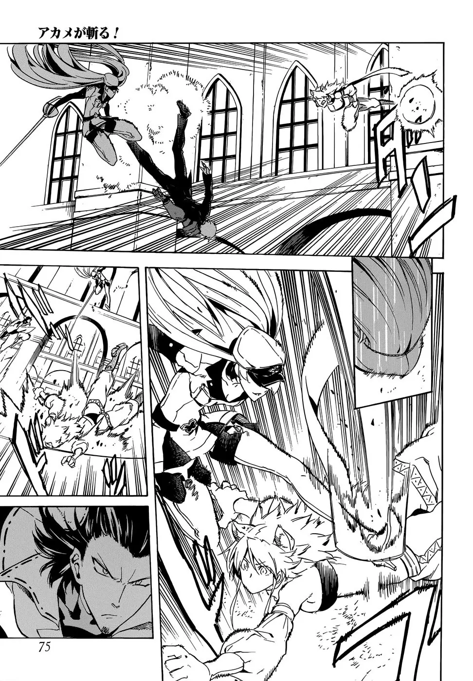 Akame Ga Kiru Chapter 41 - Trang 39