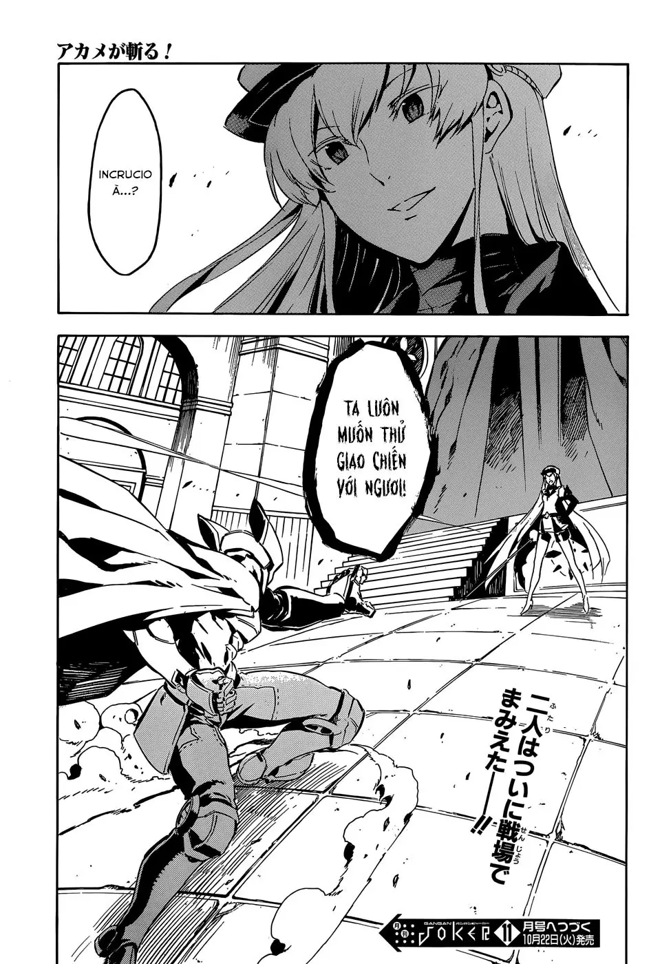 Akame Ga Kiru Chapter 41 - Trang 46