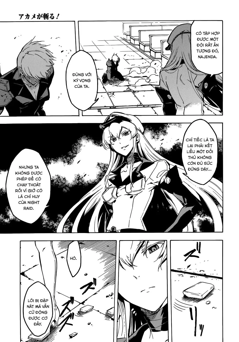 Akame Ga Kiru Chapter 42 - Trang 45