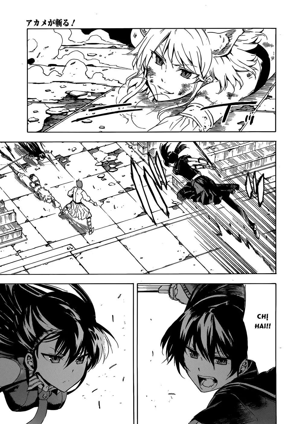 Akame Ga Kiru Chapter 43 - Trang 11