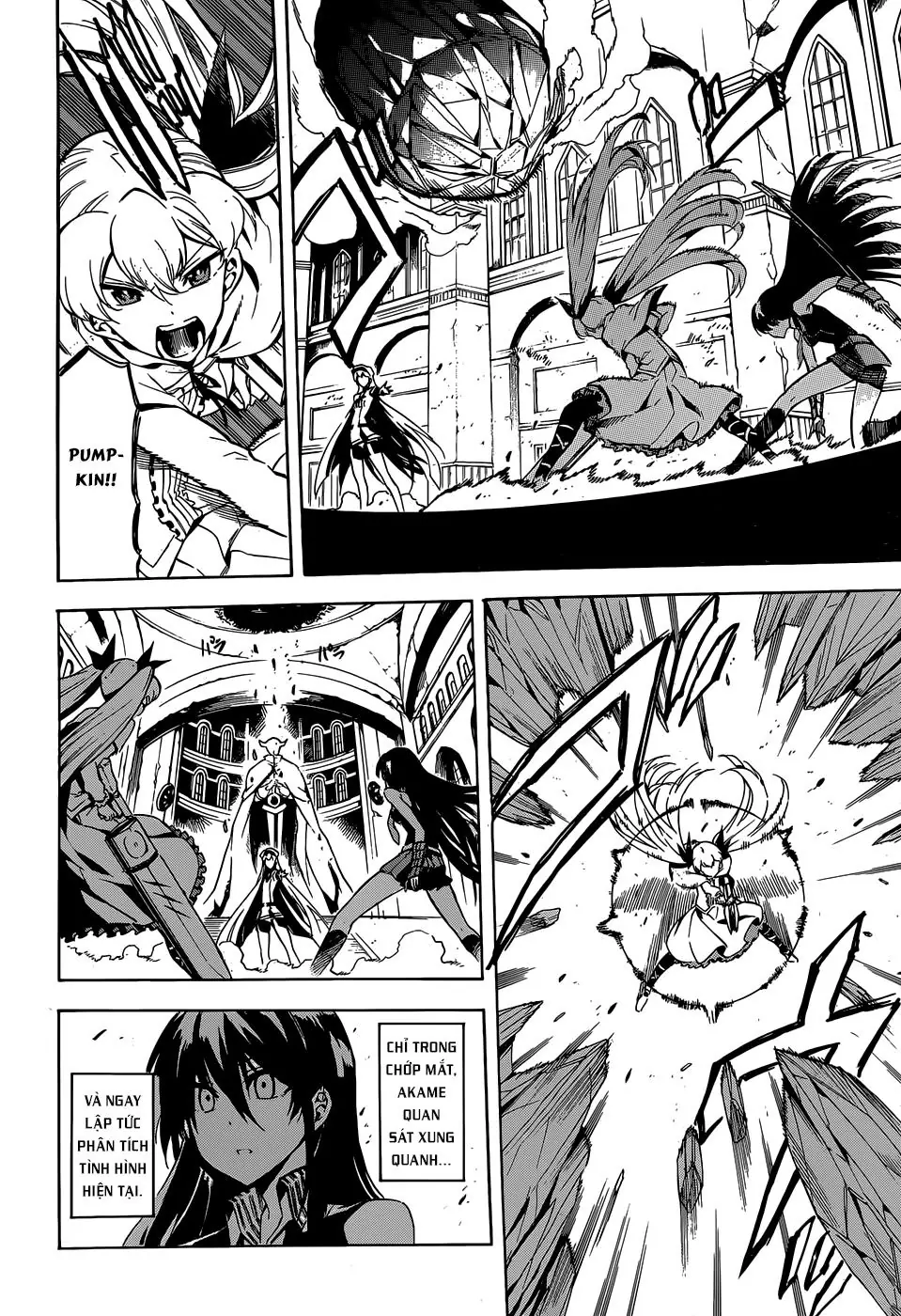 Akame Ga Kiru Chapter 43 - Trang 8