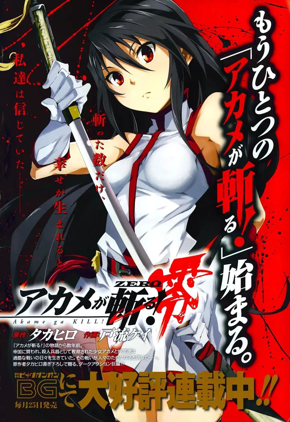 Akame Ga Kiru Chapter 45 - Trang 4