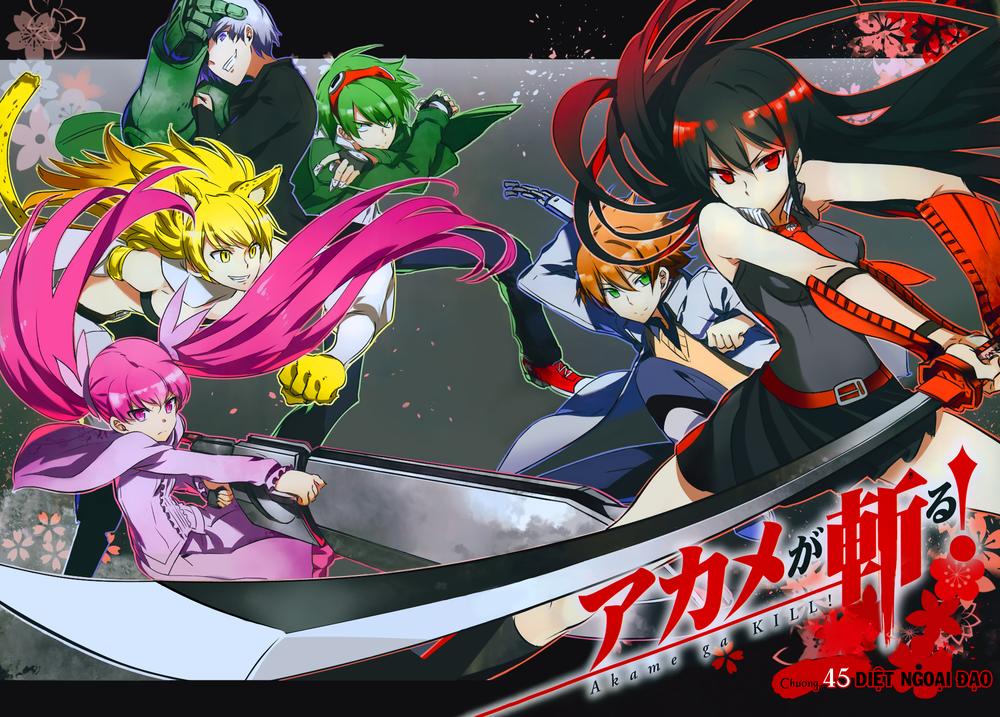 Akame Ga Kiru Chapter 45 - Trang 7