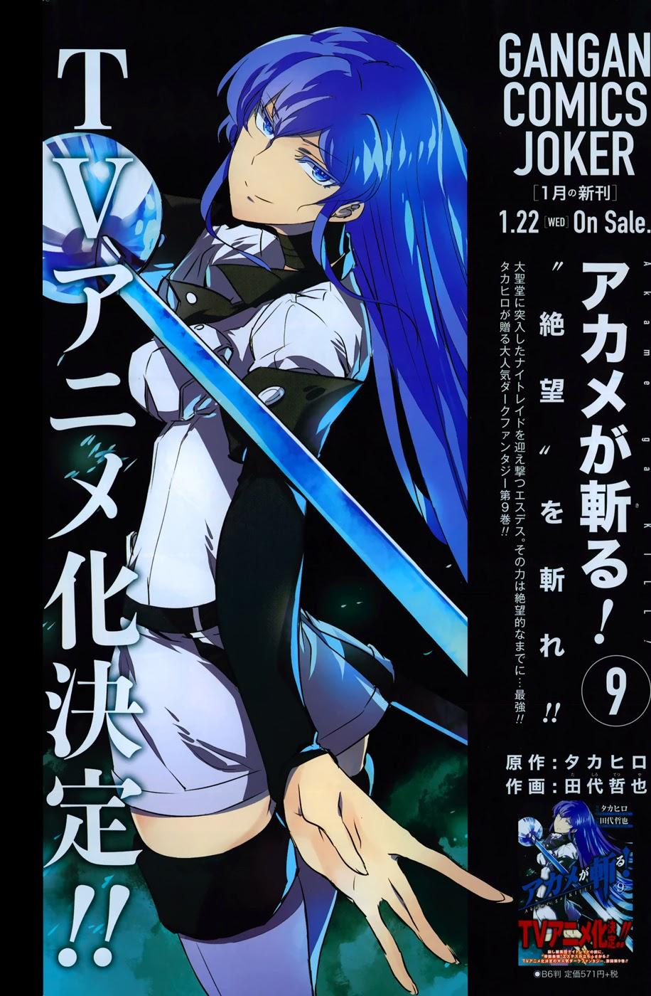 Akame Ga Kiru Chapter 45 - Trang 8