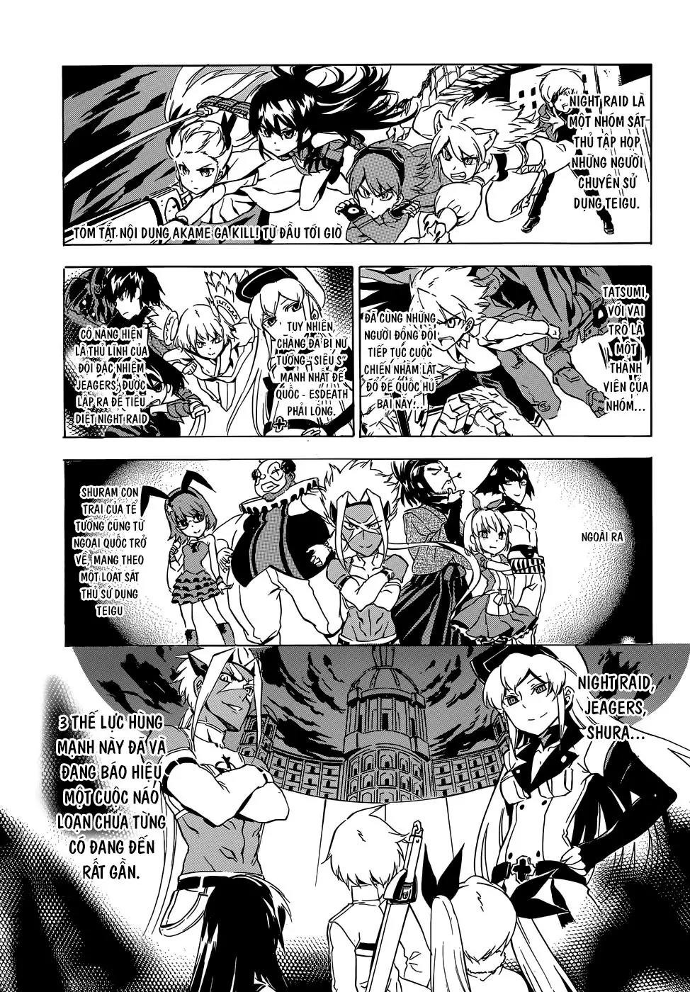 Akame Ga Kiru Chapter 45 - Trang 9