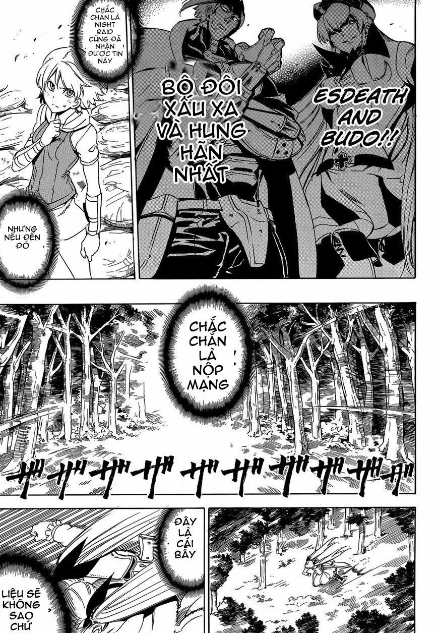 Akame Ga Kiru Chapter 53 - Trang 11