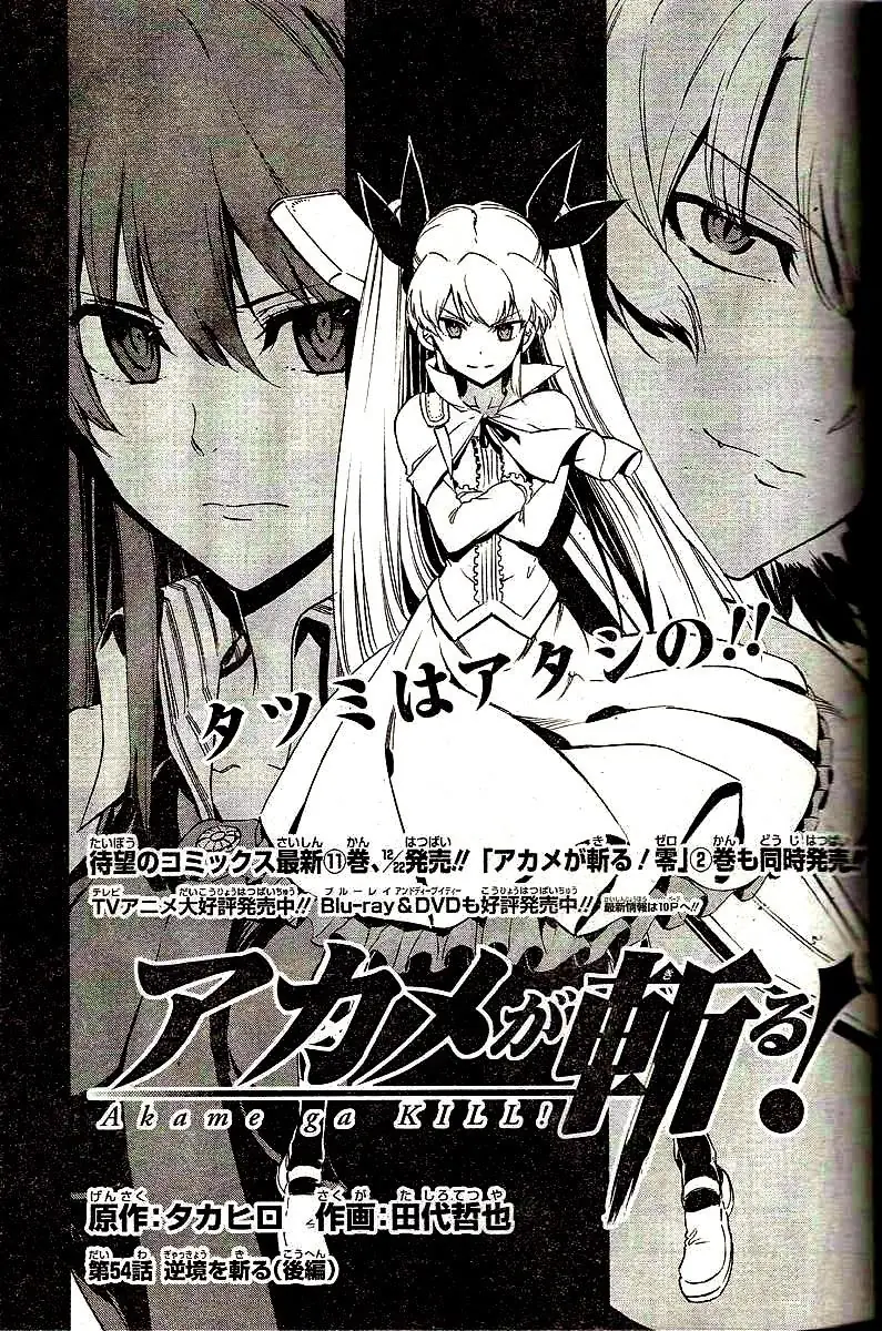 Akame Ga Kiru Chapter 54 - Trang 6