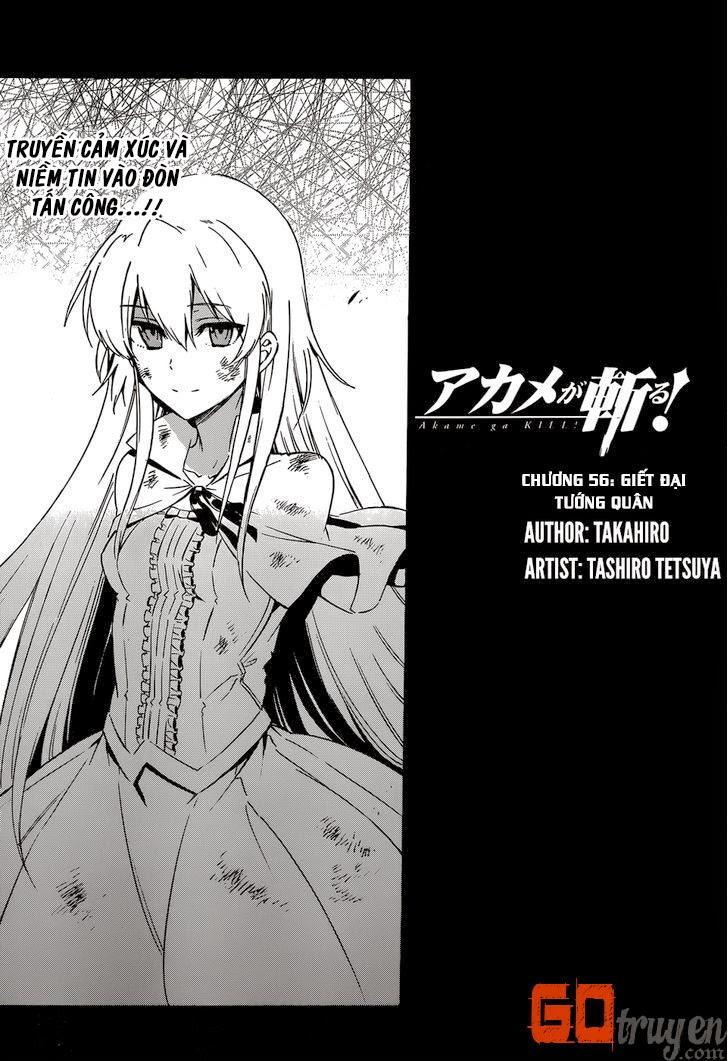 Akame Ga Kiru Chapter 56 - Trang 21