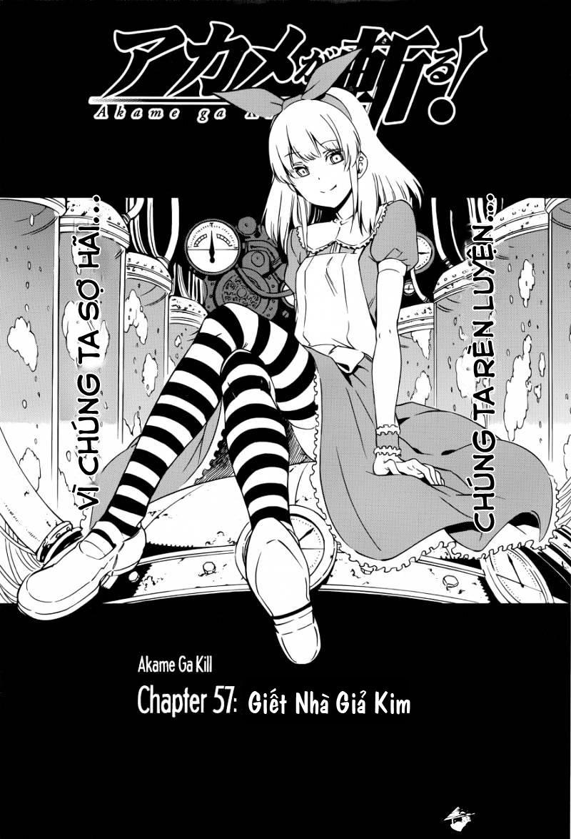 Akame Ga Kiru Chapter 57 - Trang 4