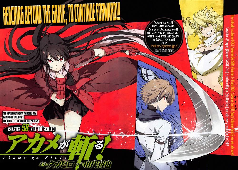 Akame Ga Kiru Chapter 58.1 - Trang 5