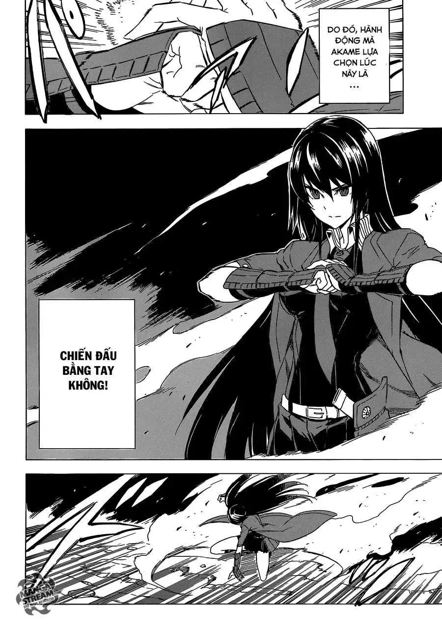 Akame Ga Kiru Chapter 59.1 - Trang 15