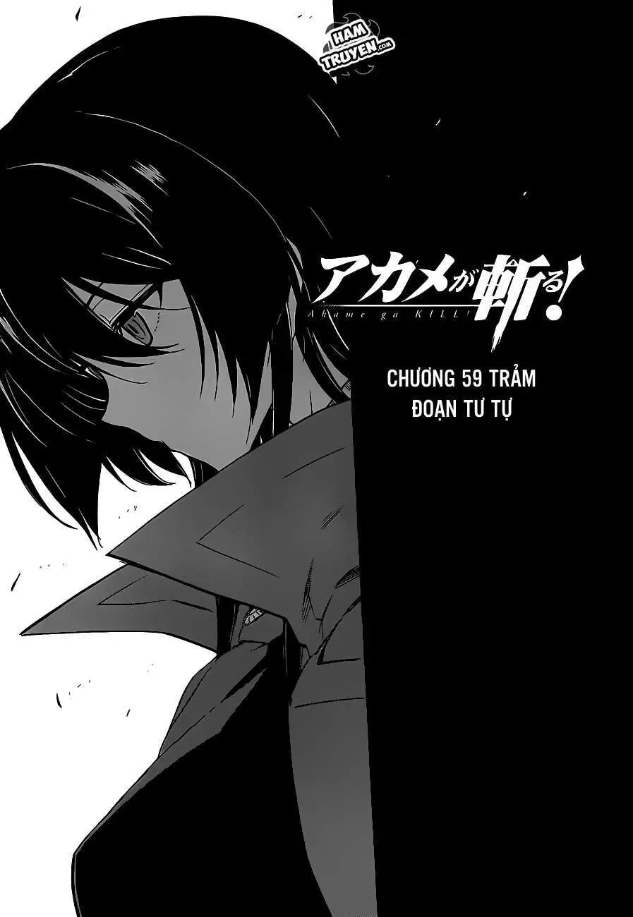 Akame Ga Kiru Chapter 59.1 - Trang 4