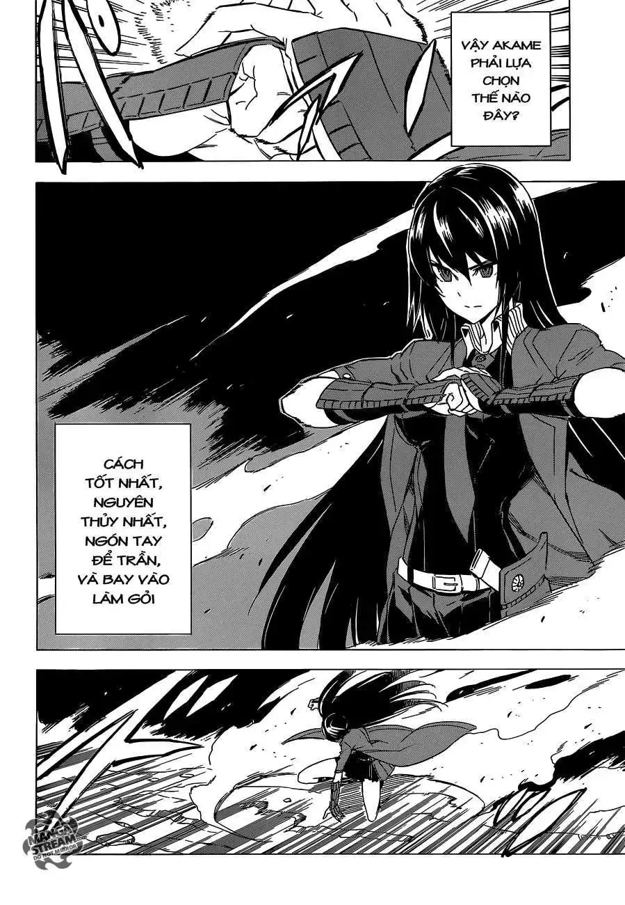 Akame Ga Kiru Chapter 59.2 - Trang 15