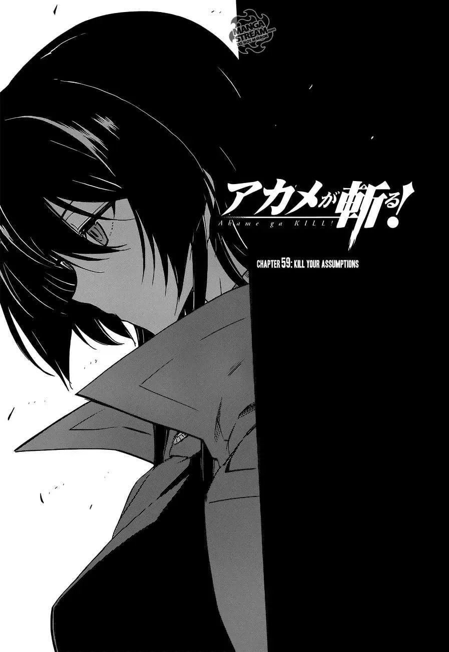 Akame Ga Kiru Chapter 59.2 - Trang 5