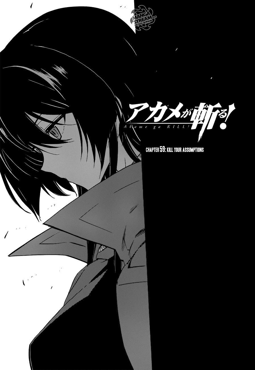 Akame Ga Kiru Chapter 59 - Trang 4