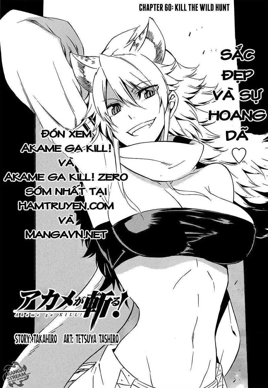 Akame Ga Kiru Chapter 60 - Trang 4