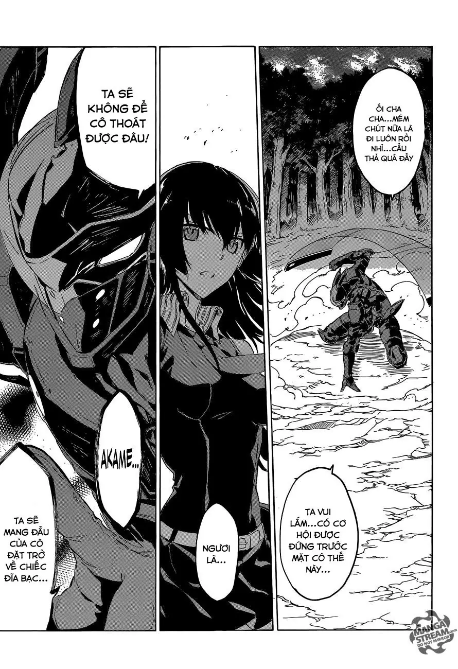 Akame Ga Kiru Chapter 61 - Trang 37