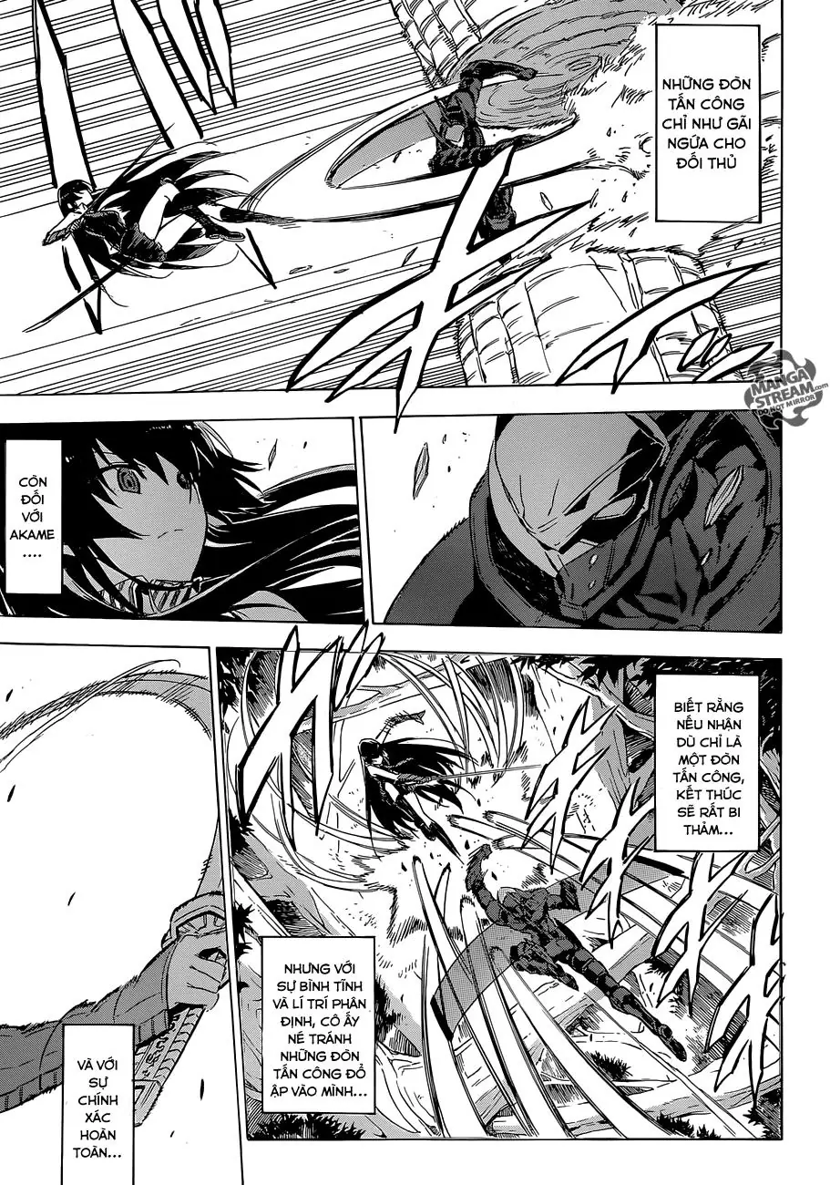Akame Ga Kiru Chapter 62 - Trang 16