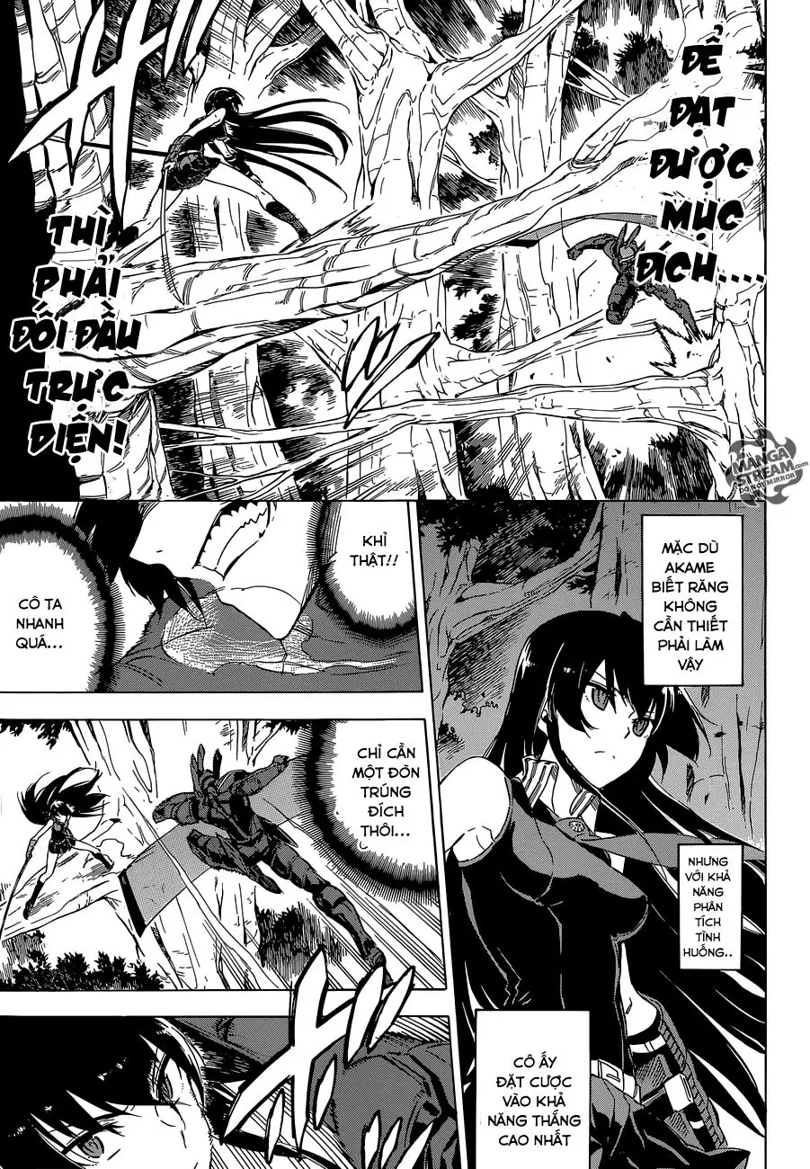 Akame Ga Kiru Chapter 62 - Trang 18