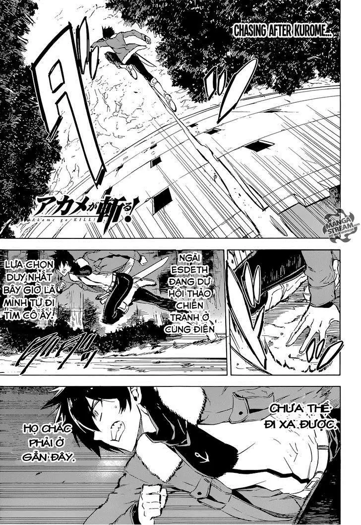 Akame Ga Kiru Chapter 65 - Trang 7