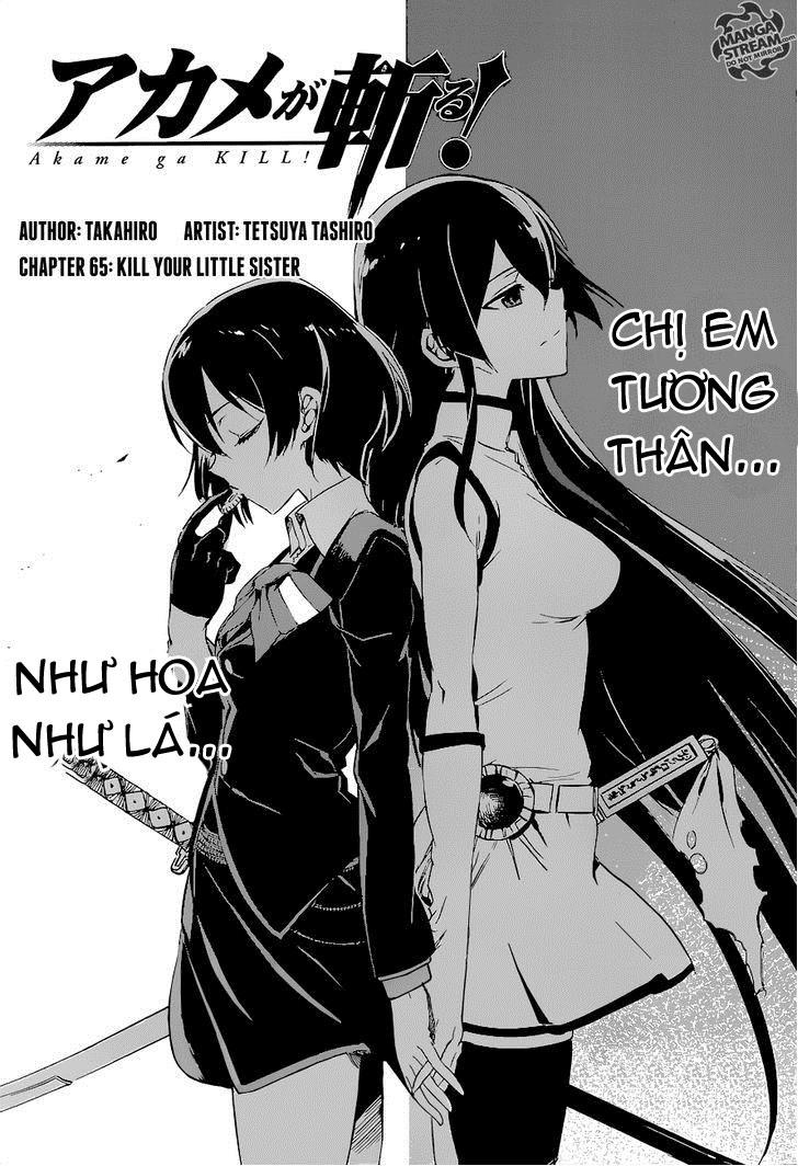 Akame Ga Kiru Chapter 65 - Trang 9