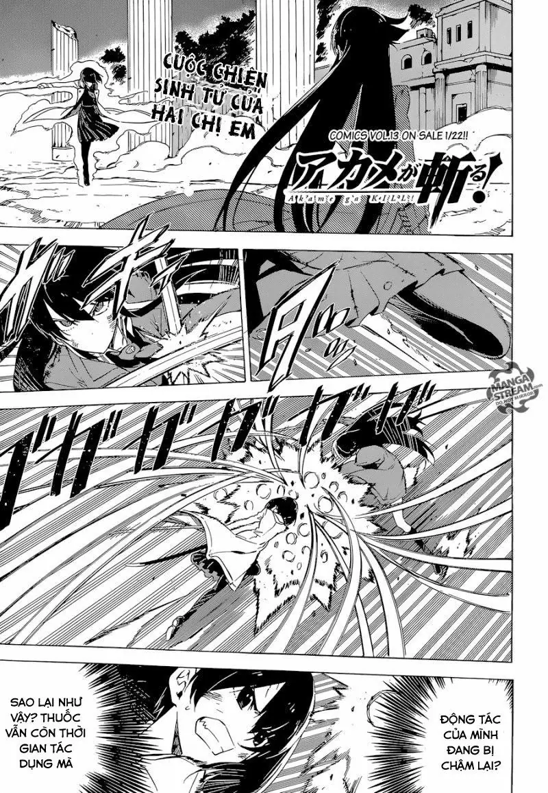 Akame Ga Kiru Chapter 66 - Trang 4