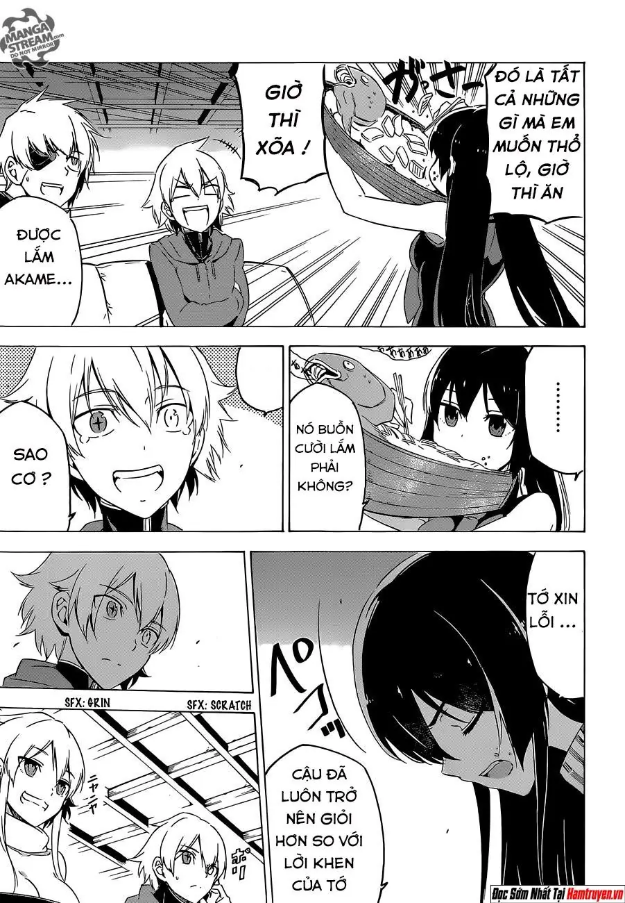 Akame Ga Kiru Chapter 67 - Trang 11