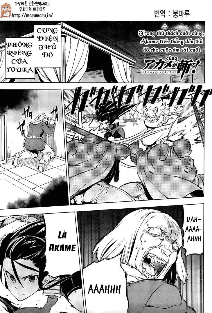Akame Ga Kiru Chapter 69 - Trang 4