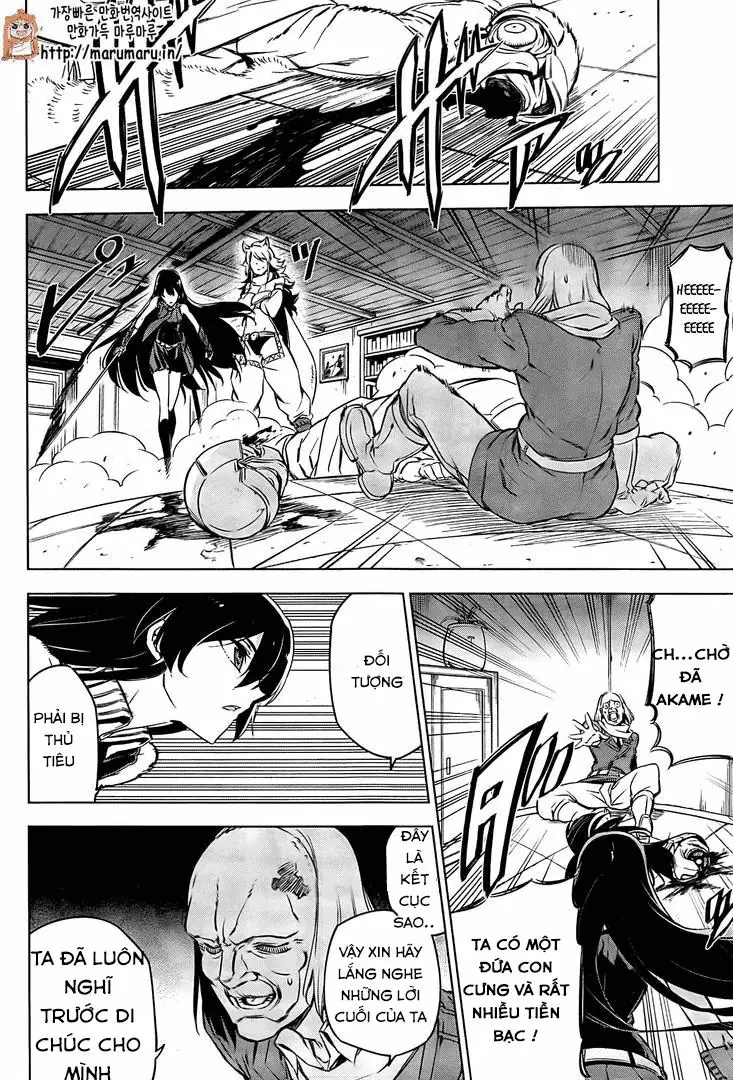 Akame Ga Kiru Chapter 69 - Trang 5