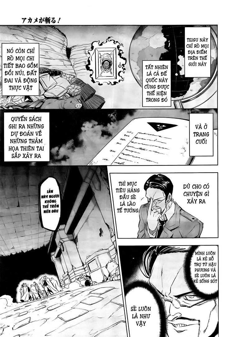 Akame Ga Kiru Chapter 72.5 - Trang 4