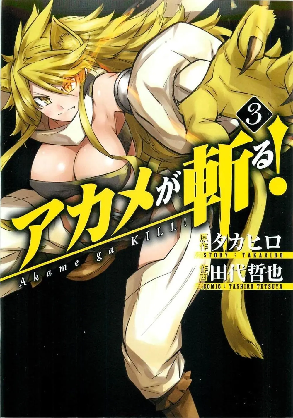 Akame Ga Kiru Chapter 72 - Trang 3