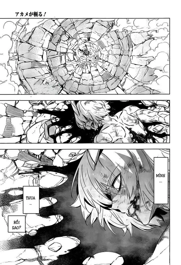 Akame Ga Kiru Chapter 73 - Trang 15