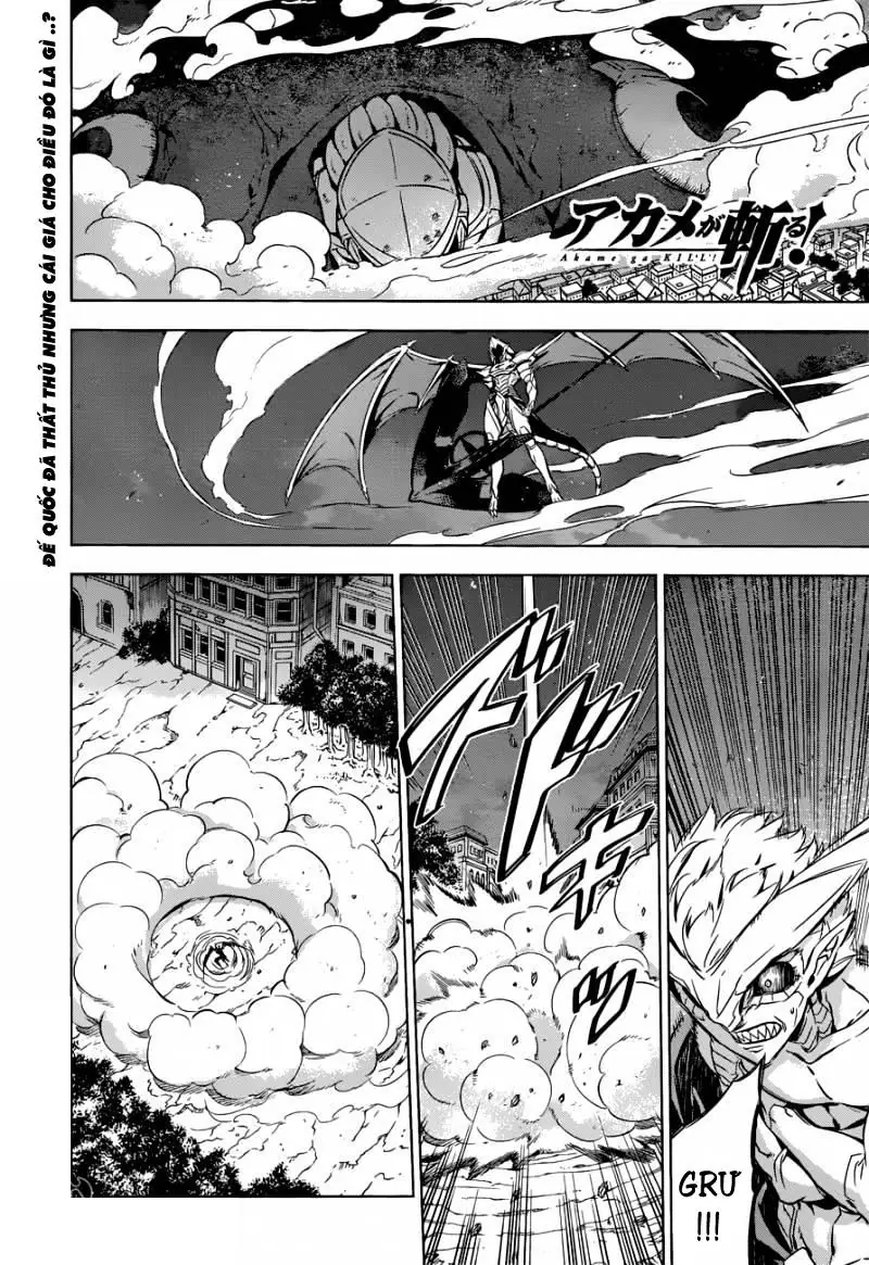 Akame Ga Kiru Chapter 75 - Trang 4