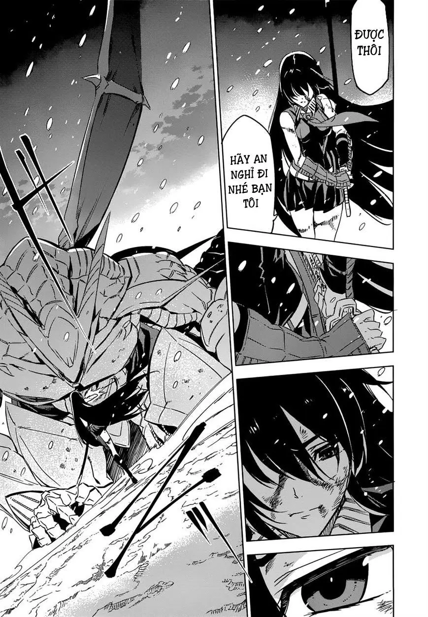 Akame Ga Kiru Chapter 76.5 - Trang 12